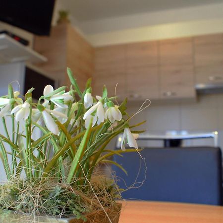 ביבינייה Apartments Martina מראה חיצוני תמונה